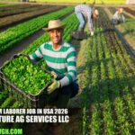 Farm Laborer Job in USA 2026 | Venture Ag Services LLC