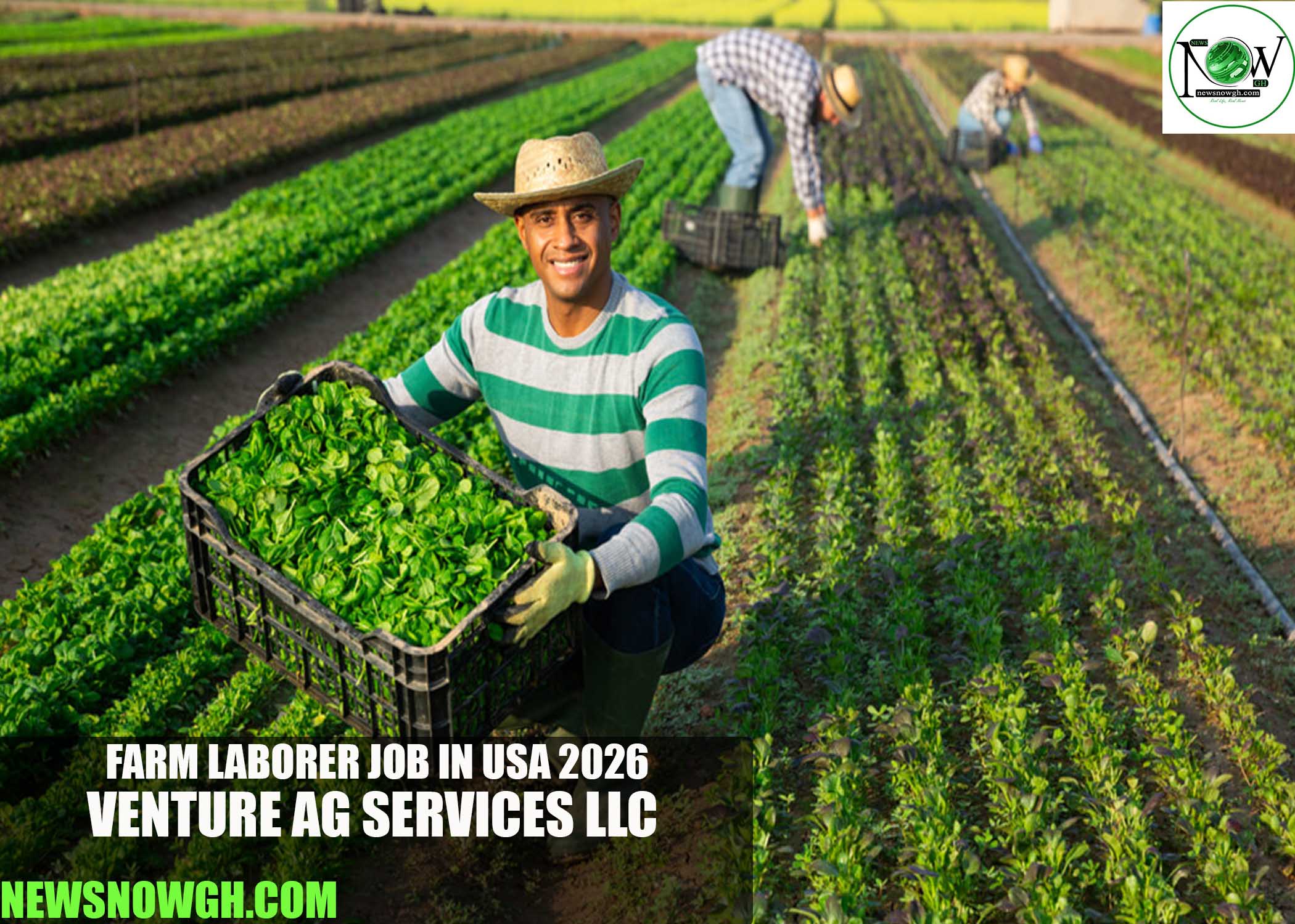 Farm Laborer Job in USA 2026 | Venture Ag Services LLC