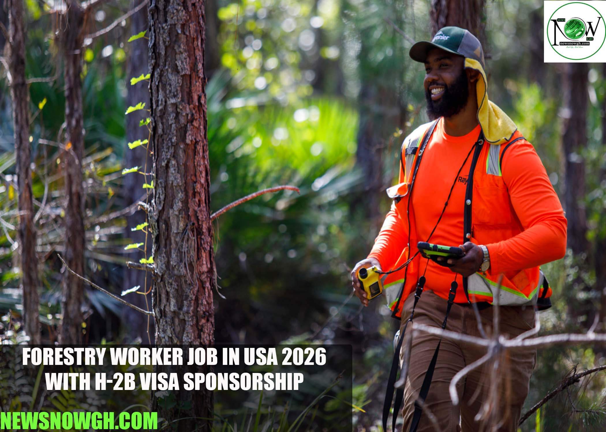 Forestry Worker Job in USA 2026 with H-2B Visa Sponsorship