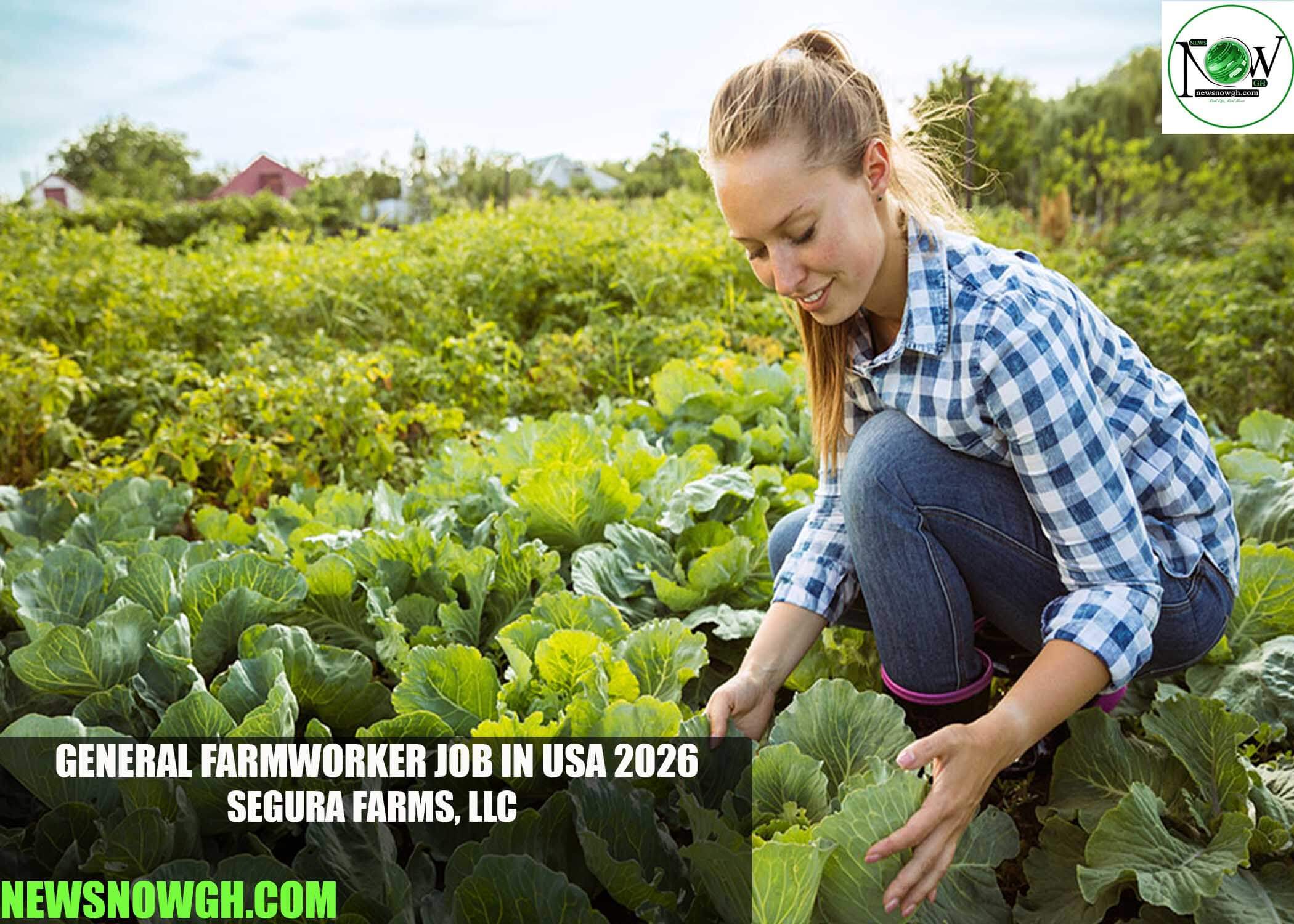 General Farmworker Job in USA 2026 | Segura Farms, LLC