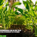 General Farmworker Job in USA 2026 with H-2A Visa Sponsorship