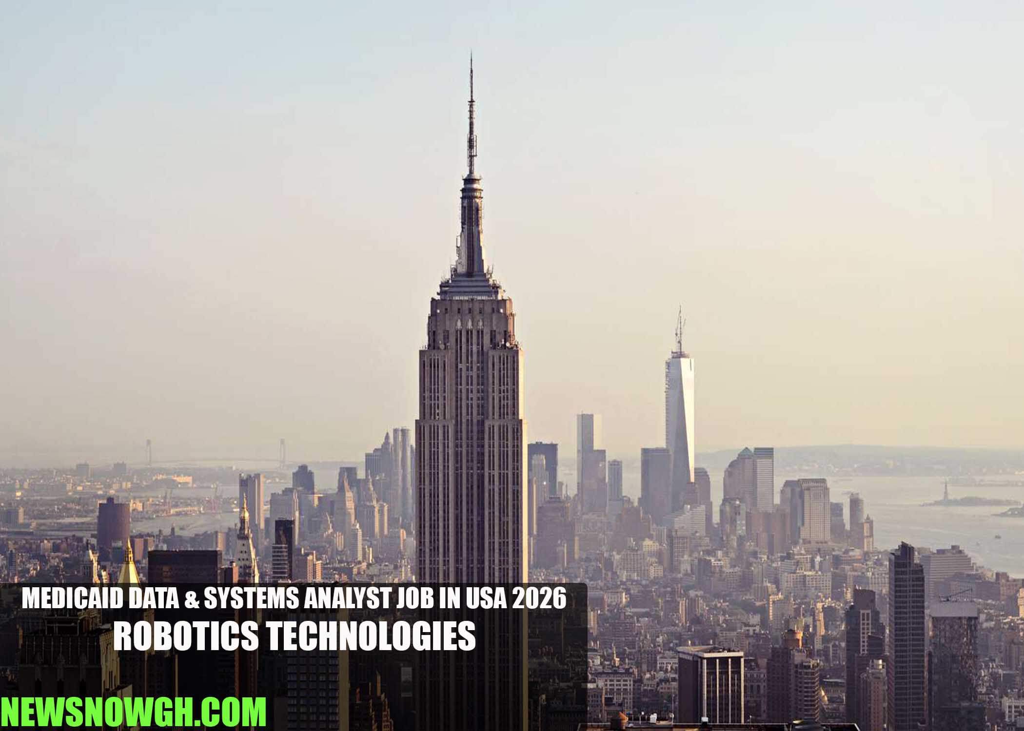 Medicaid Data & Systems Analyst Job in USA 2026 | Robotics Technologies