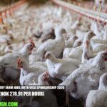Norway Poultry Farm Jobs with Visa Sponsorship
