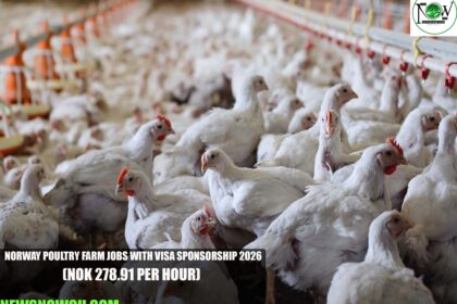 Norway Poultry Farm Jobs with Visa Sponsorship
