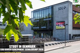 SDU Danish Government Scholarship