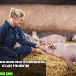 Scotland Pig Farm Worker Jobs in 2026