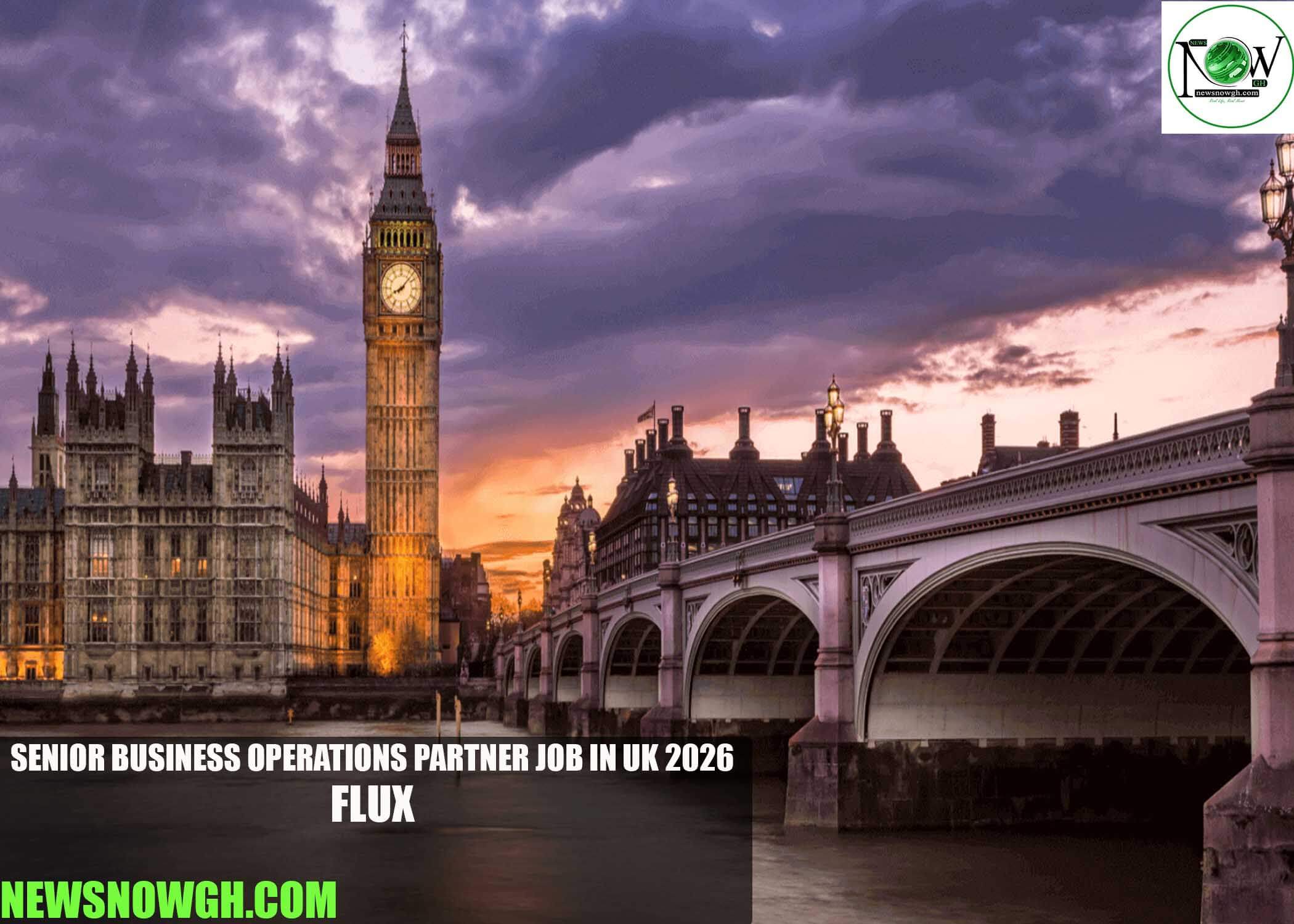 Senior Business Operations Partner Job in UK 2026 | Flux