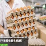 Switzerland Egg Packing Jobs with Visa Sponsorship 2026