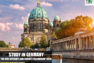 The HIIG Internet and Society Fellowship