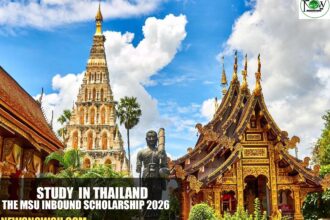 The MSU Inbound Scholarship