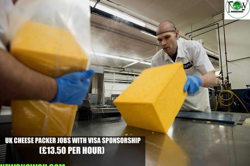 UK Cheese Packer Jobs with Visa Sponsorship