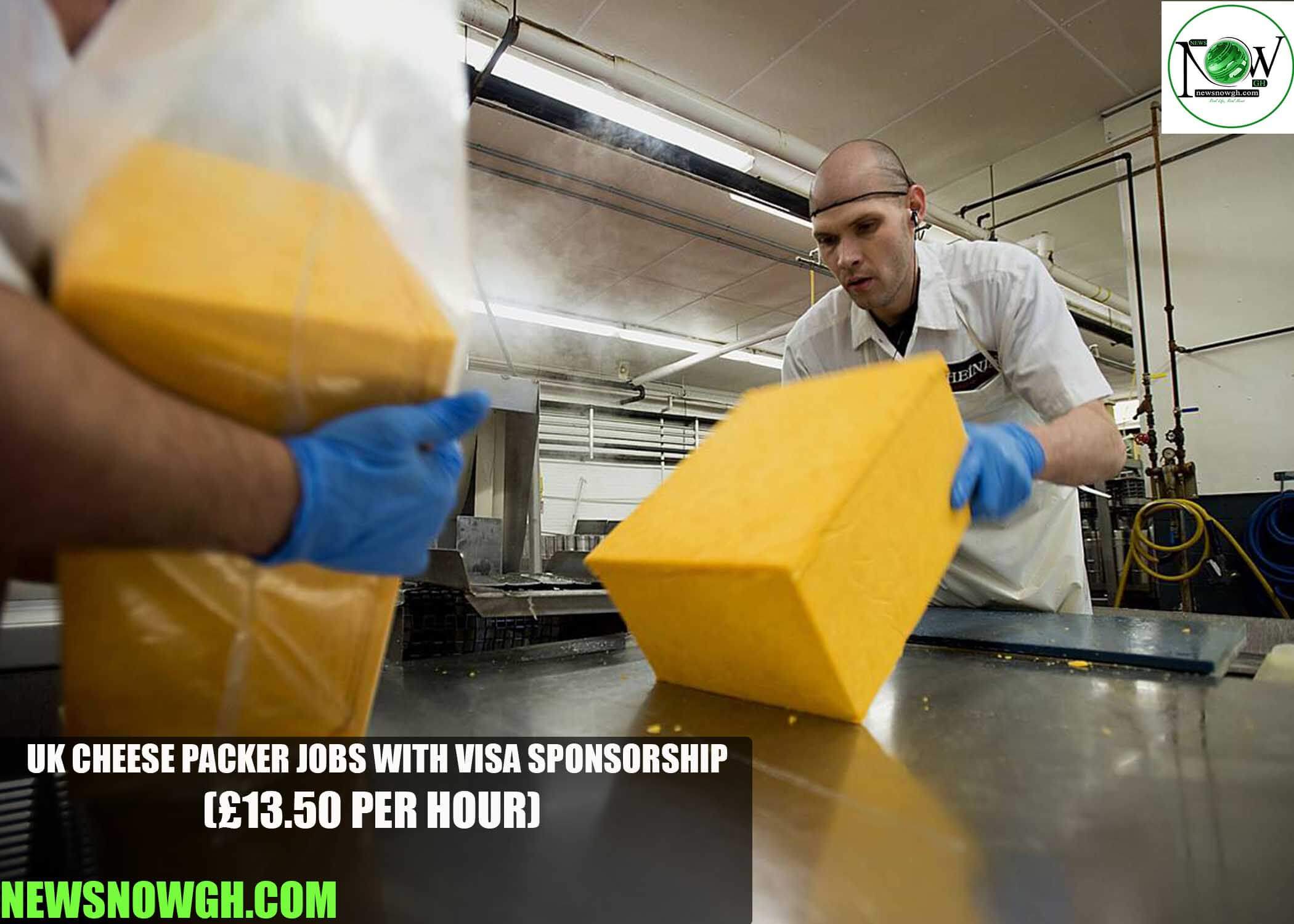 UK Cheese Packer Jobs with Visa Sponsorship