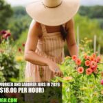 USA Farmworker and Laborer Jobs in 2026