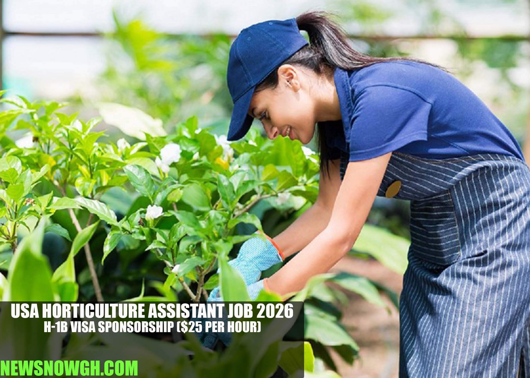 USA Horticulture Assistant Job 2026