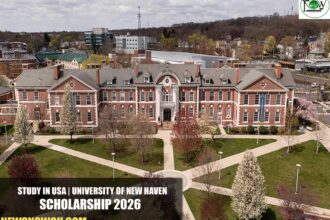University of New Haven Scholarship