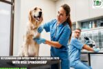 Veterinarian Job Opportunity in Australia 2026 with Visa Sponsorship