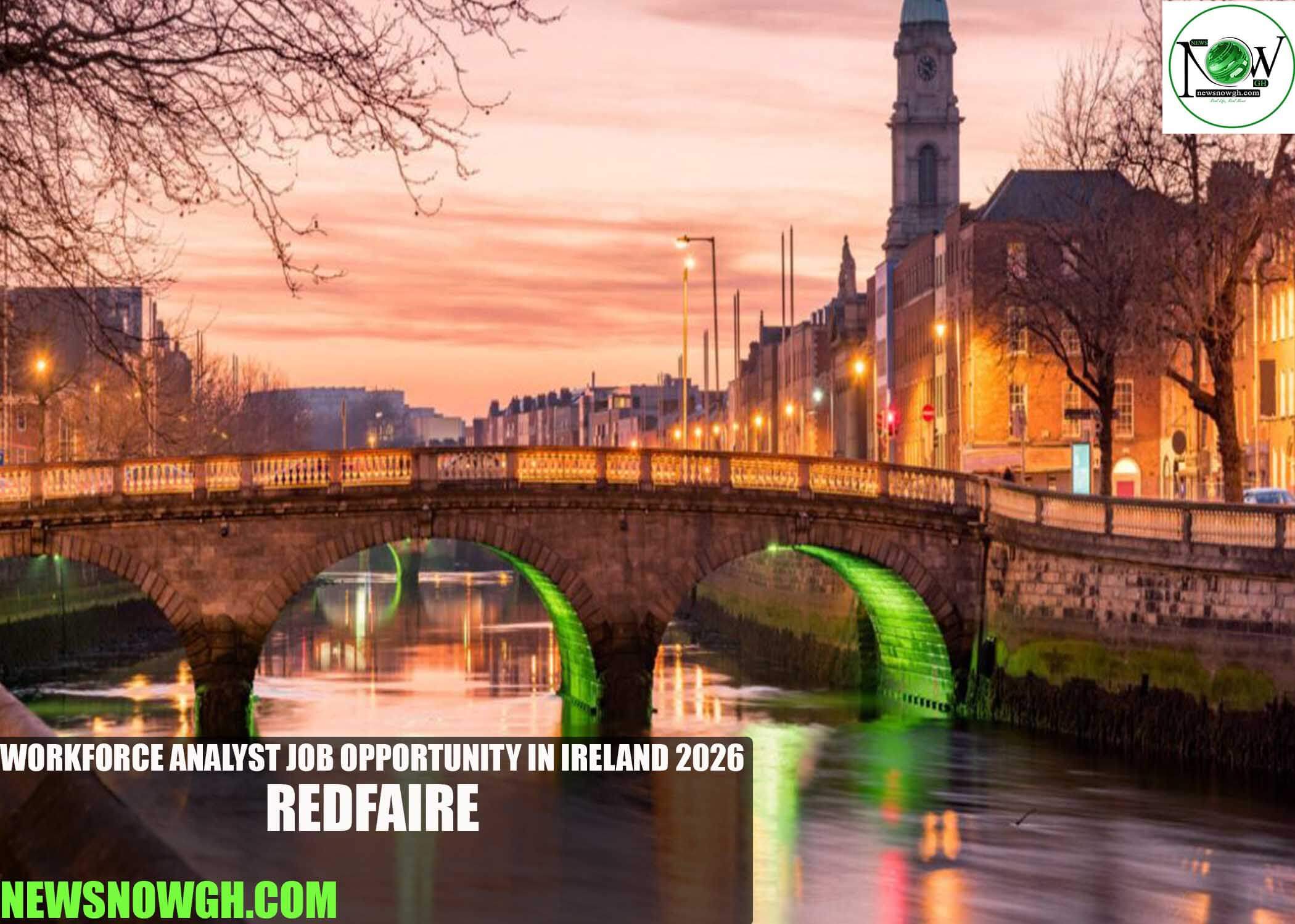 Workforce Analyst Job Opportunity in Ireland 2026 | Redfaire