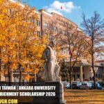 Ankara University Huayu Enrichment Scholarship