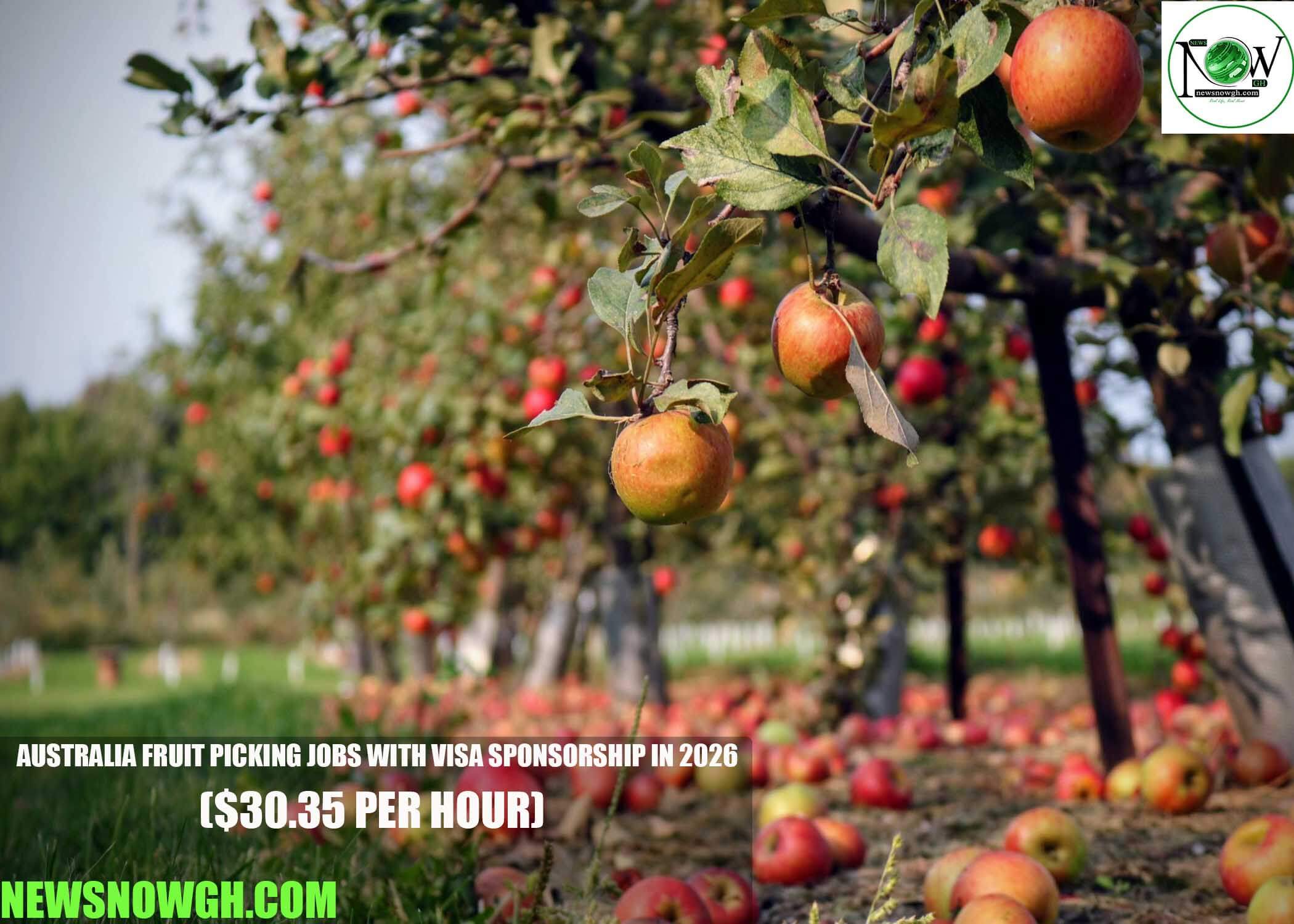 Australia Fruit Picking Jobs with Visa Sponsorship