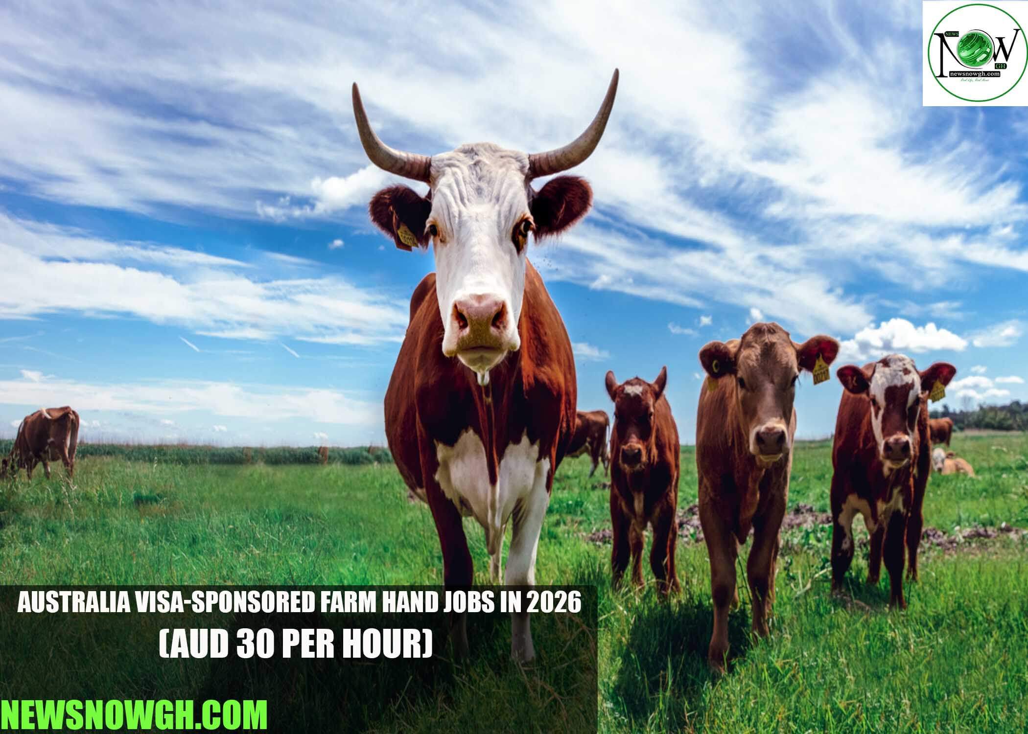 Australia Visa-Sponsored Farm Hand Jobs in 2026