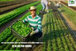 Austria Agriculture Jobs for Foreigners with Work Permit 2026