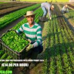 Austria Agriculture Jobs for Foreigners with Work Permit 2026