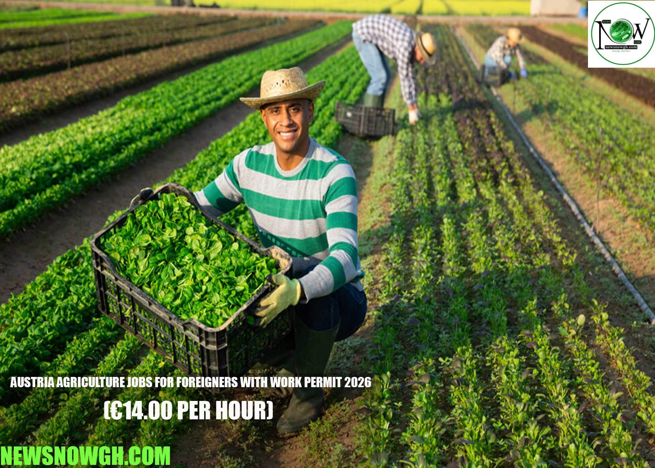 Austria Agriculture Jobs for Foreigners with Work Permit 2026