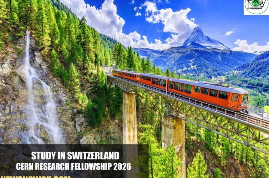 CERN Research Fellowship