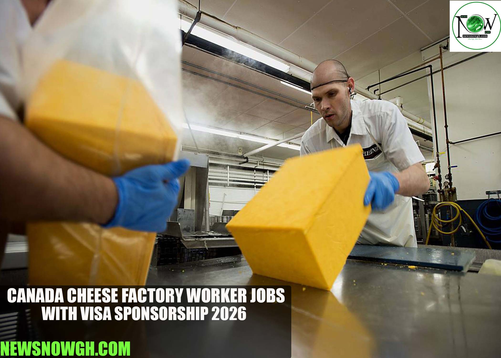 Canada Cheese Factory Worker Jobs