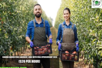Canada Harvesting Laborers' Jobs with Visa Sponsorship 2026