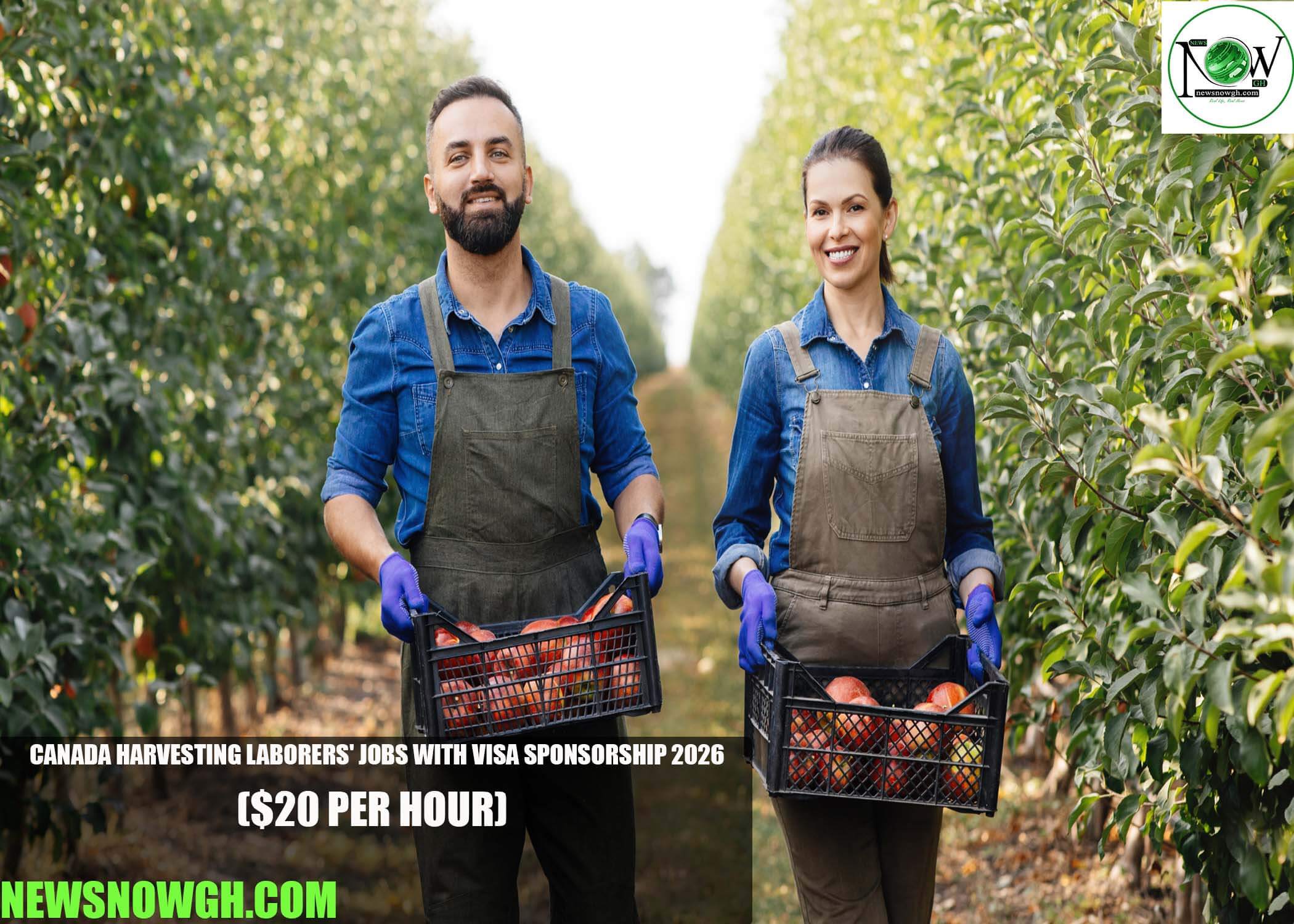 Canada Harvesting Laborers' Jobs with Visa Sponsorship 2026