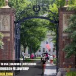 Harvard Law School Henigson Fellowship