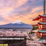 Japan JSPS SOKENDAI Summer Program