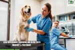 Lead Veterinary Surgeon Job in UK 2026 | Medivet & Partners