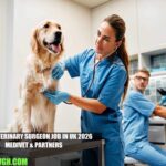 Lead Veterinary Surgeon Job in UK 2026 | Medivet & Partners