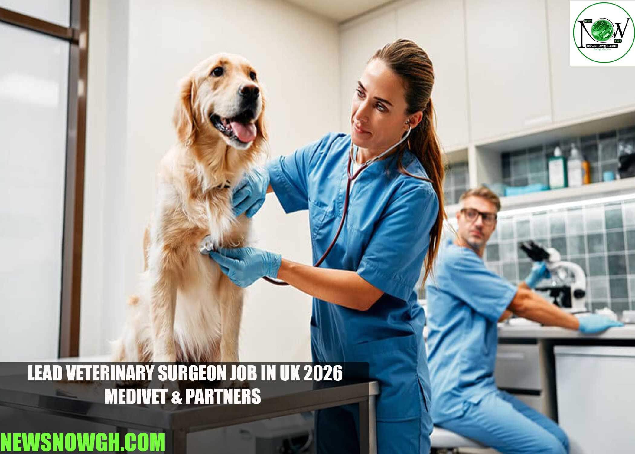 Lead Veterinary Surgeon Job in UK 2026 | Medivet & Partners