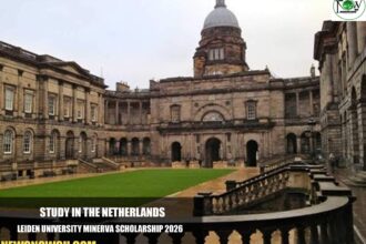 Leiden University Minerva Scholarship