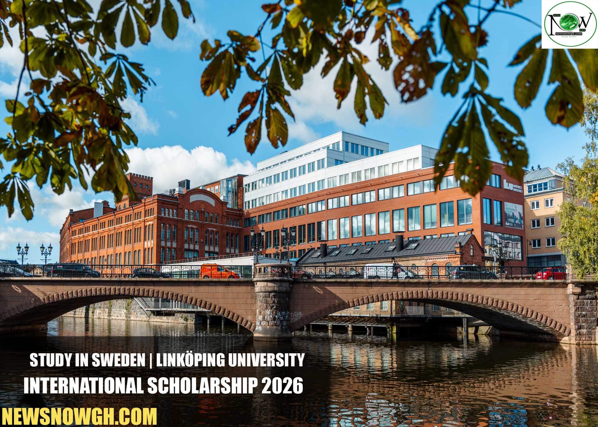 Linköping University International Scholarship