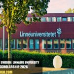 Linnaeus University Scholarship