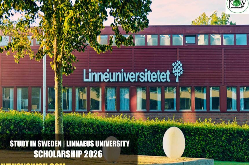 Linnaeus University Scholarship