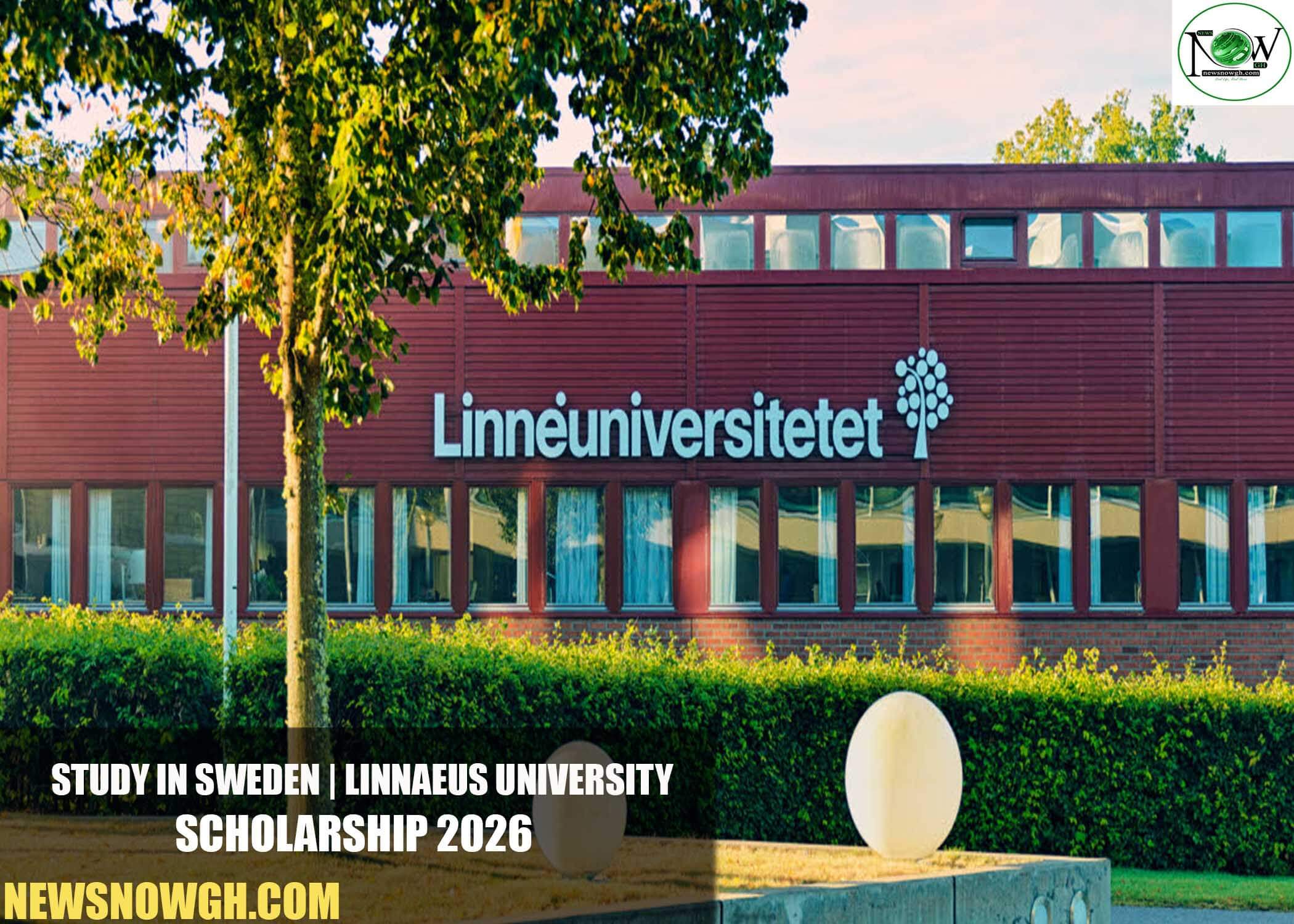 Linnaeus University Scholarship