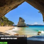 New Zealand Employment Opportunities