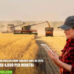 New Zealand Skilled Crop Grader Jobs in 2026