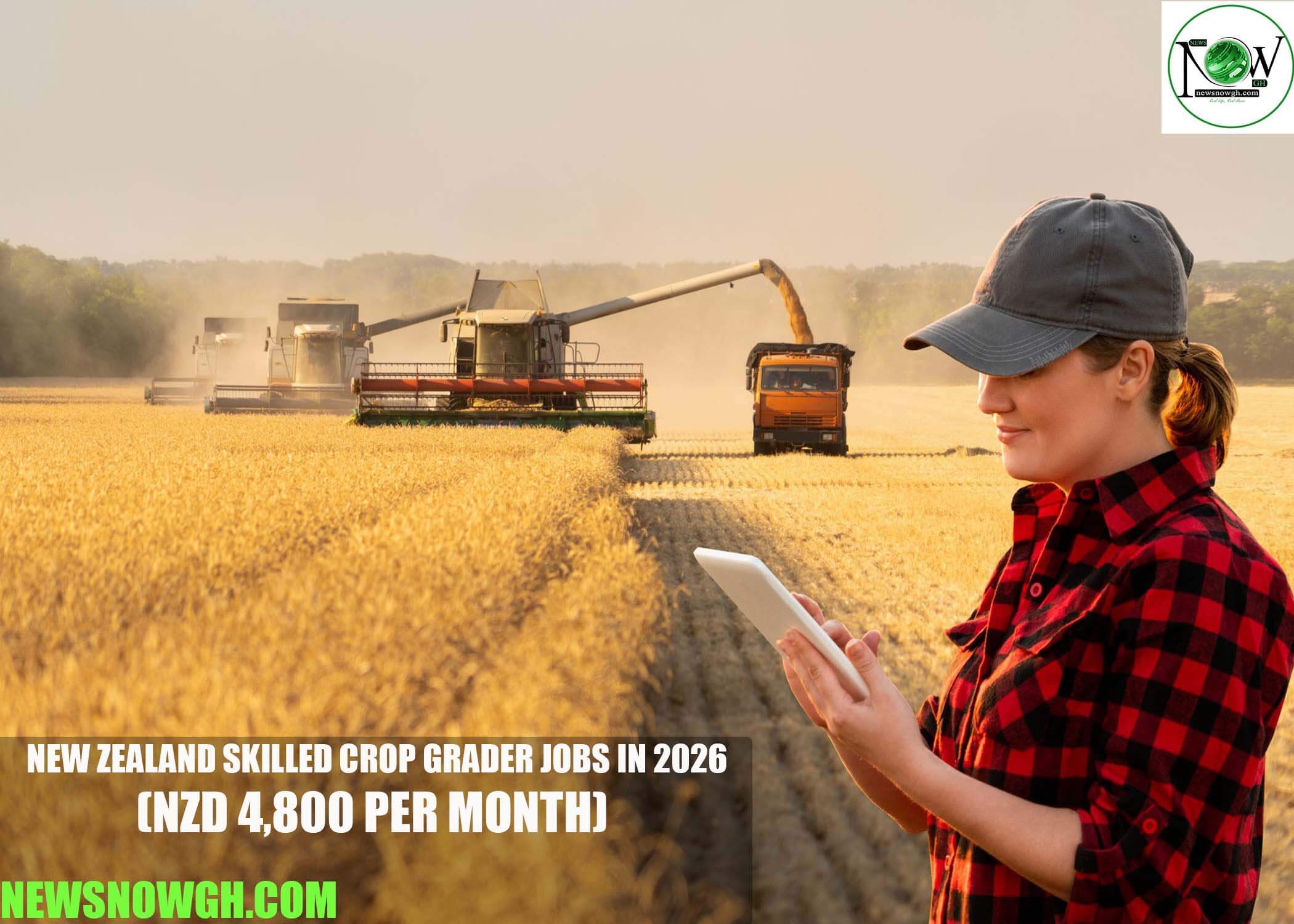 New Zealand Skilled Crop Grader Jobs in 2026