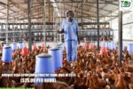 Norway Visa-Sponsored Poultry Farm Jobs