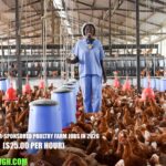 Norway Visa-Sponsored Poultry Farm Jobs