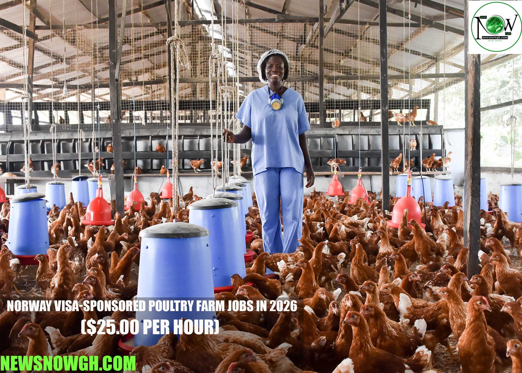 Norway Visa-Sponsored Poultry Farm Jobs