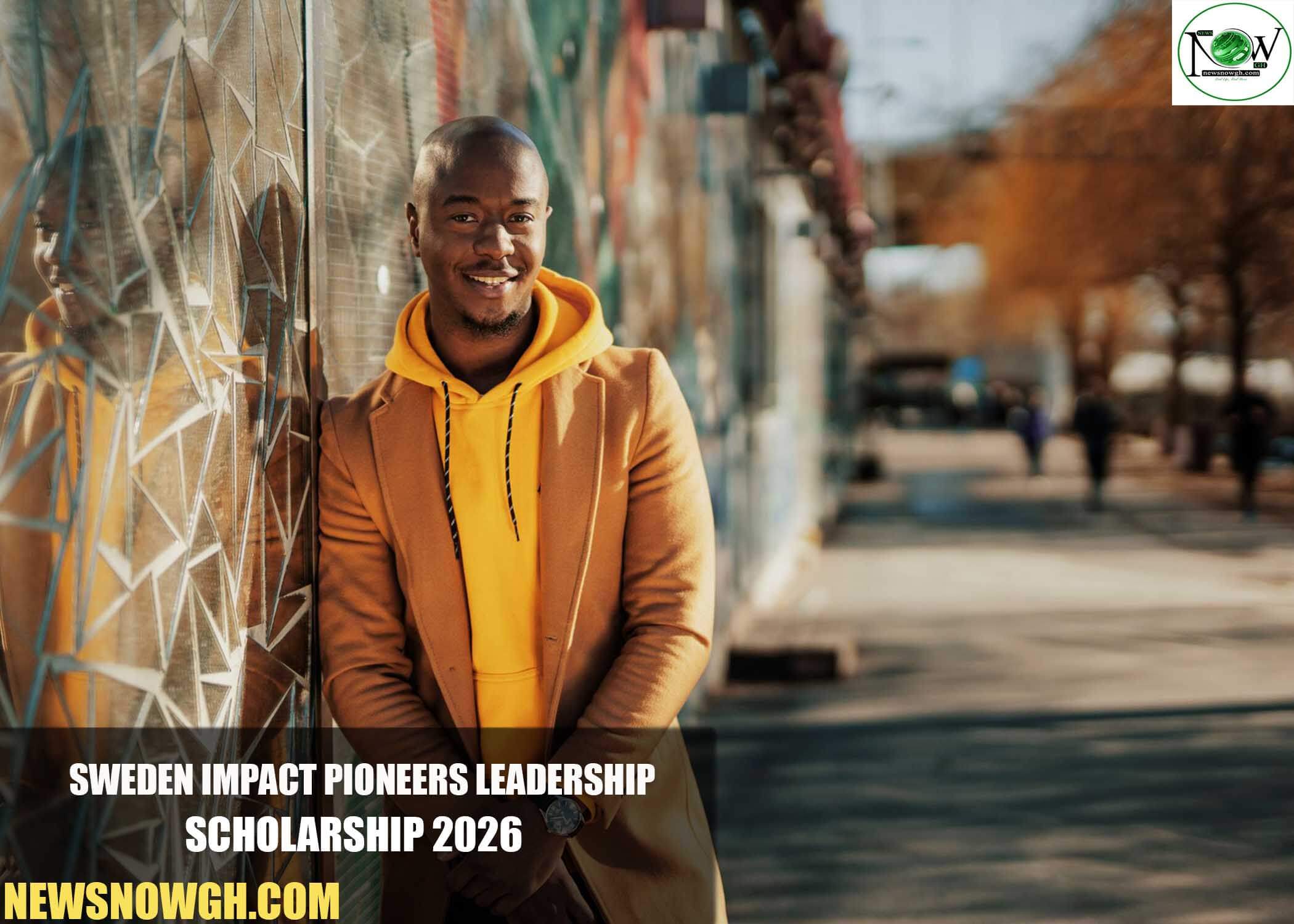 Sweden Impact Pioneers Leadership Scholarship