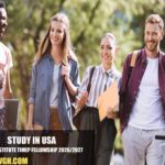 Tahrir Institute TIMEP Fellowship