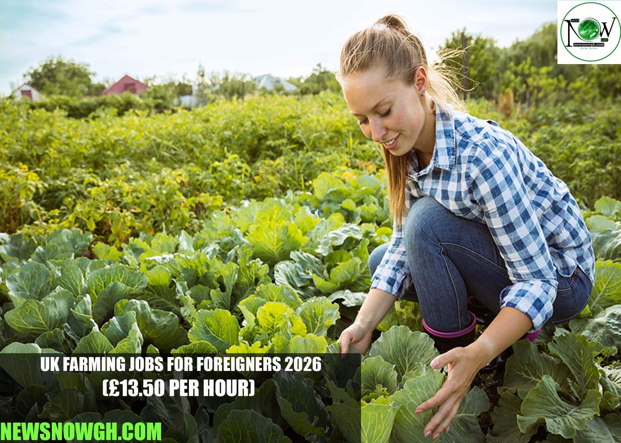 UK Farming Jobs for Foreigners 2026